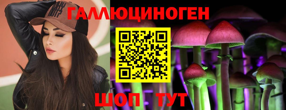 Псилоцибиновые грибы прущие грибы Арсеньев